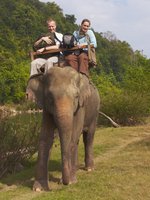 Elephant Riding [ 8 images ]